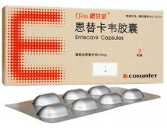 恩甘定恩替卡韦胶囊药理毒理